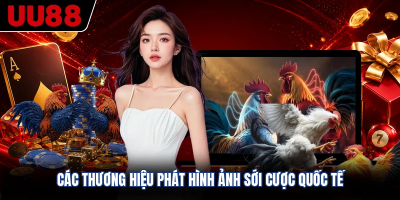 Các thương hiệu phát hình ảnh sới cược quốc tế